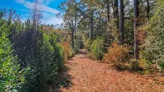364 Wrights Mill Rd, Aiken, SC