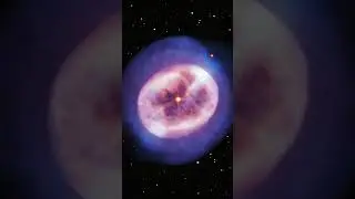 Hubble Reveals the 