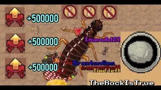 Pocket ants clan co-op | TheRockIsTrue |