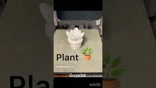Plant 🪴 #guys3d #3dprinting