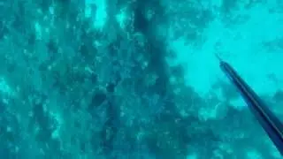 &Pi;&iota;&gamma;&kappa;&alpha; 5500 &Sigma;&alpha;&rho;&omega;&nu;&iota;&kappa;&omicron;&sigmaf;--&Tau;&sigma;&alpha;&beta;&alpha;&lambda;&omicron;&sigmaf; &Alpha;&rho;&iota;&sigma;&tau;&omicron;&tau;&epsilon;&lambda;&eta;&sigmaf;--Dive360.gr