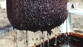 сбор нефти с воды сорбент нефти