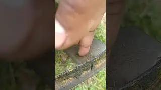 Oregon Gator Blade update