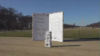Trump Epstein birthday card on the National Mall
