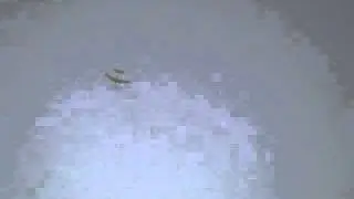 Snowflake Rubber Band Powered Free Flight Foam Plate Airplane Test Flight 2
