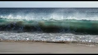 Motions of water and sediment in a plunging breaker on a sandy beach &bull; Playback speed 4x slower