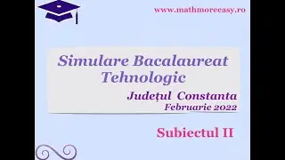 Simulare Bacalaureat Februarie 2022 Constanta Subiectul 2