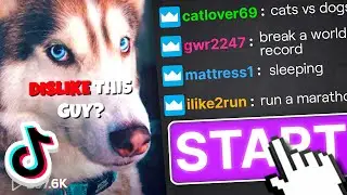 Twitch chat ran my TikTok for 24 hours and I got MORE views