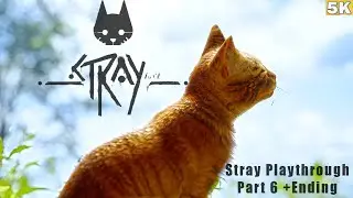 A More Colorful Stray PC Playthrough Clementine & Cat Escape+Ending|AMD RX 6900 XT|Ultra Settings 5K