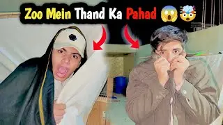 Zoo Mein Thand Ki Waja Se Sab Animals Pareshan |😱Update Animal Zoo @shehrmaindihat #viralvideo ￼