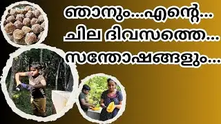 ചില ദിവസങ്ങളിൽ....മാത്രം.... ഇങ്ങനാണ്...പ്രിയങ്ങളേേേ🥰🥰#positivevibes #happiness #reality #family