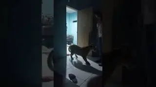 #jalanyangjauhjanganlupapulang #vyf