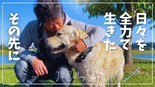 もう君とは信頼関係が切れた｜ゴールデンレトリバーと50代夫婦の北海道暮らし