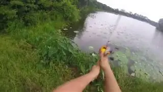 PINEY Z LAKE