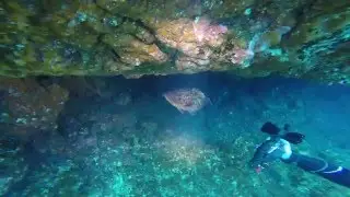 El Hierro Abril 2016 Buceo Hispania Tenerife