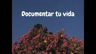 Documentar tu vida