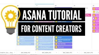 Учебное пособие по Asana для создателей контента и отдельных лиц