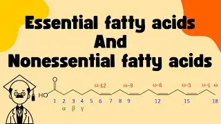 Essential Fatty Acids vs Nonessential Fatty Acids | Omega-3, Omega-6, Food Sources & Examples