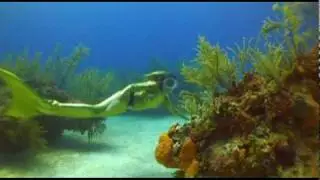 Mermaids love sharks