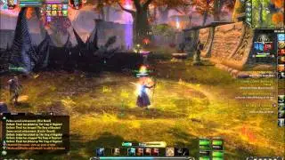 Rift - PvP - Pyromancer/Chloromancer/Elementalist - Black Garden - Warfront