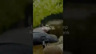How do I clean a salamander's tank pump or aerator?