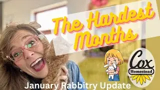 The Hardest Two Months VLOG  |   January Rabbitry Update   |  Nestbox Eye issues   | Cox Homestead