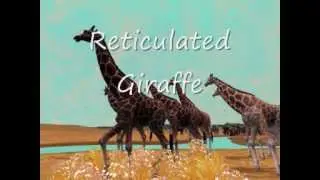 Zoo Tycoon 2 Radical Remake
