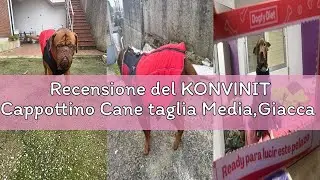 Recensione del KONVINIT Cappottino Cane taglia Media,Giacca Invernale con Cappuccio Cani Taglia Picc