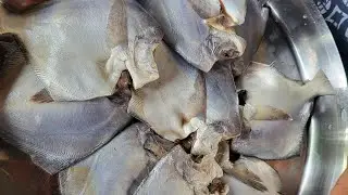 পমফ্রেট মাছের টক ঝাল রেসিপি 🍛/ pamphlet fish recipe/#অসাধারণ স্বাদের পমফ্রন্ট মাছের রেসিপি 