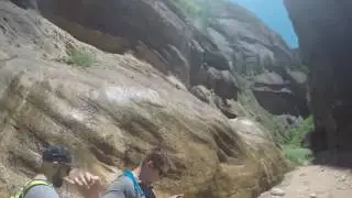 Zion Narrows & OrderVille Canyon