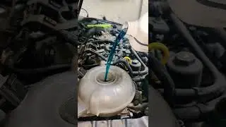 BMW Coolant Top-Up &ndash; Smooth drive, cool engine! 💧🚗 #bmw#coolant#carcare#automobile#mechanic#shorts