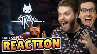 Cats AND Robots! | Stray PS5 Trailer Reaction