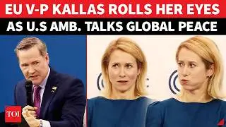 &lsquo;Why UN Failed In Kashmir?&rsquo;: US Envoy Drops India-Pak Nuke Bombshell; Watch EU Kallas Epic Reaction