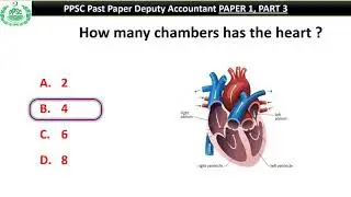 PPSC Deputy Accountant 2019 Solved Past Papers  Paper 1 Part 3 | PPSC Test Preparation