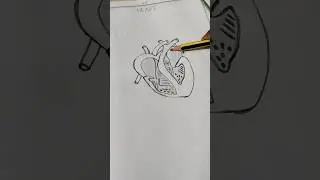 🤍🤍heart#drawing#pencil#simple#art#@SimplyMomentsss