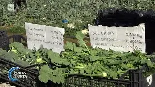 Frutta e verdura, prezzi in aumento e acquisti in calo - Porta a porta 15/02/2024