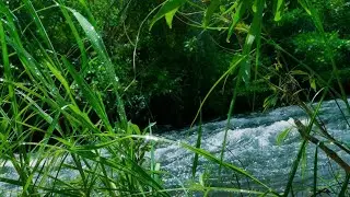 CRYSTAL CLEAR RIVER FLOW LIVE &ndash; NATURE&rsquo;S ASMR AMBIENCE FOR RELAX, STUDY & INNER PEACE