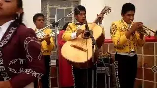 Mariachi Alma Ranchera de Actipan (EL JUGUITO DE PIÑA)