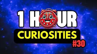 1 HOUR Of Amazing CURIOSITIES Of The World😲⏰| #30