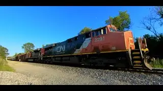 CN 2291 West - a 360 Video - on 7-28-2020