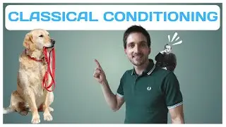 Beginner's Guide to Classical Conditioning in Dog Training
