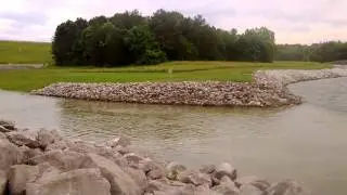 Belgreen,AL