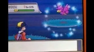 LIVE Shiny Murkrow in the Safari Zone after 588 RE's! Win or Fail?