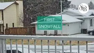 SNOW SEASON | sbee