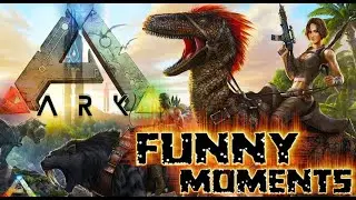 The Main reason Ark stinks
