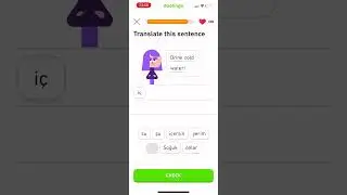 Duolingo Turkish Speedrun: Part 16 (2/2)