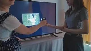 AI bird species recognition video
