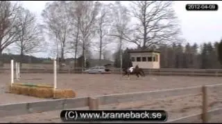 120409.avi
