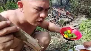 Hunting Wild Chicken in the Rainforest 