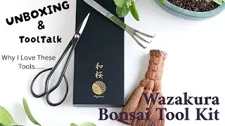 Обзор набора инструментов для японского бонсай Wazakura: стоит ли он своих денег?